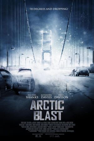 Arctic Blast 2010