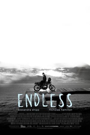 Endless 2020 movie poster - watch and download free