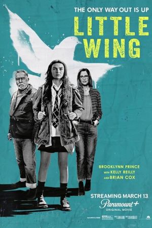 Little Wing 2024 movie poster - watch and download free