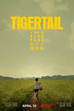 Tigertail 2020 movie poster - watch and download free